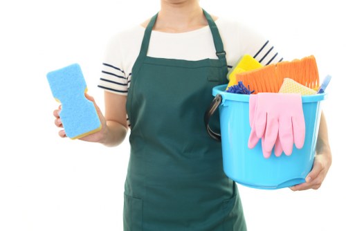 Professional window cleaning for elegant Mayfair properties