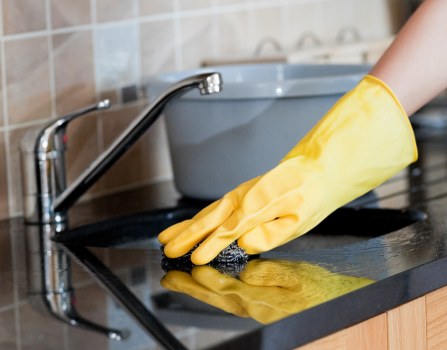 Technician treating pet stain odour in a Mayfair home carpet