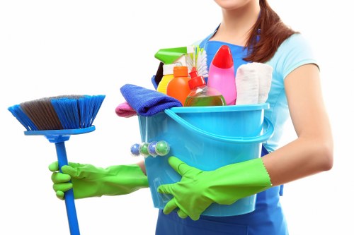 Professional deodorising of upholstery after pet accident in Mayfair