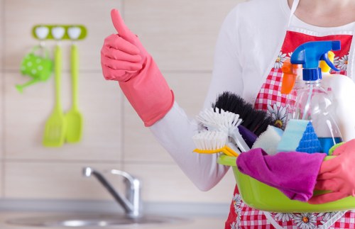 Flexible regular cleaning for a Mayfair home or business with attention to detail