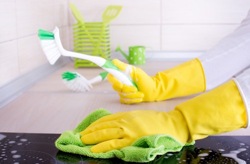 Local cleaner handling a central London apartment turnover near Mayfair