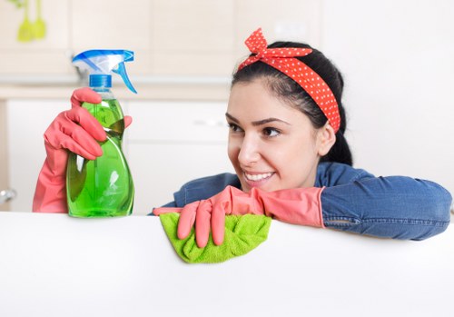 Oven cleaning for a Mayfair townhouse or apartment kitchen