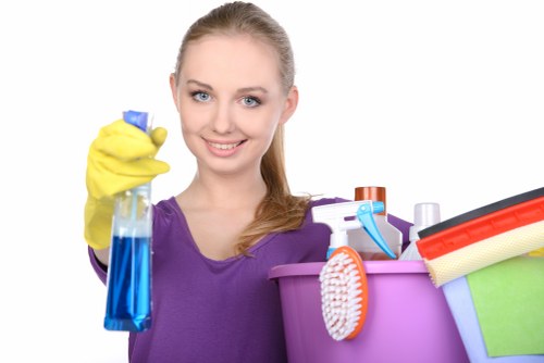 Detailed carpet cleaning process in an elegant interior