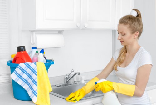 Careful window cleaning for period homes and apartments in Mayfair