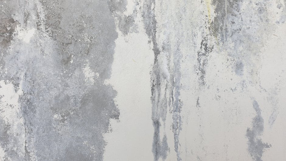 Close-up of a concrete basement wall with visible water damage and mould growth, featuring discolored, damp patches and irregular surface textures. The wall exhibits areas of peeling paint and moisture stains, indicating leaks and the need for surface cleaning and sanitisation. The lighting highlights the uneven surface, emphasizing the extent of deterioration. This damage underscores the importance of deep cleaning and moisture control in basement environments, as recommended by Mayfair Carpet Cleaners, experts in cleaning and hygiene solutions for residential spaces affected by mould after leaks, as discussed on their page about quick fixes for basement issues.