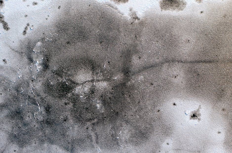 Close-up of a concrete basement wall with visible water damage and mould growth, featuring discolored, damp patches and irregular surface textures. The wall exhibits areas of peeling paint and moisture stains, indicating leaks and the need for surface cleaning and sanitisation. The lighting highlights the uneven surface, emphasizing the extent of deterioration. This damage underscores the importance of deep cleaning and moisture control in basement environments, as recommended by Mayfair Carpet Cleaners, experts in cleaning and hygiene solutions for residential spaces affected by mould after leaks, as discussed on their page about quick fixes for basement issues.